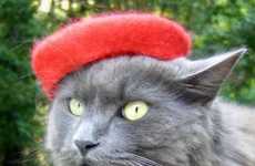 Feline Fedoras