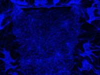 3D Ceiling Constellations Image 2