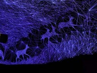 3D Ceiling Constellations Image 5