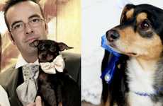 Canine Wedding Coordinators