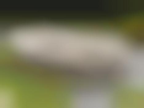 Playful Cycling Pavilions