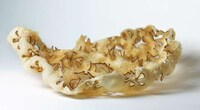 Avant-Garde Food Photography Image 2