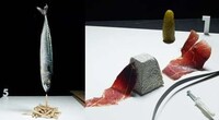 Avant-Garde Food Photography Image 5