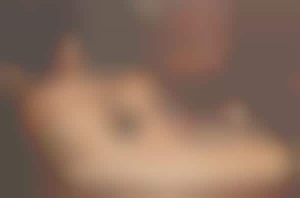 Nude Political Portraits