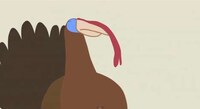 Hilarious Animal Dubstep Image 3
