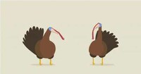 Hilarious Animal Dubstep Image 4