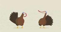 Hilarious Animal Dubstep Image 5