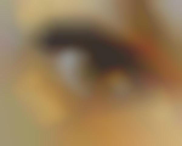 Impressionistic Iris Illustrations