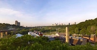Tara Rogerson, Director of Social Enterprise at Evergreen Brick Works (INTERVIEW) Image 2
