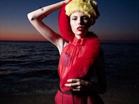 Exotic Bird-Inspired Fashion Image 5