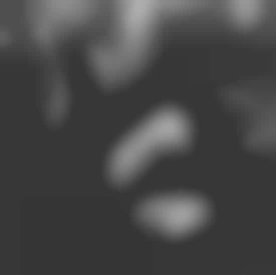 Monochromatic Moody Shoots