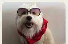 Personified Puppy Blogs