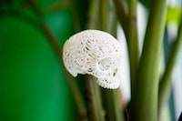 Doily Decal Skulls Image 3