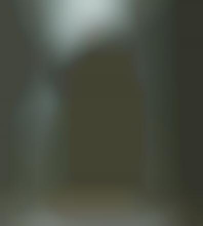 Deceiving Silhouette Photography