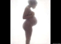 Cocooned Pregnancy Photographs Image 3