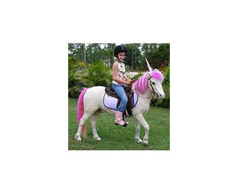 24 My Little Pony Spin-offs