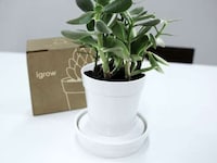 Self-Watering Planters Image 2
