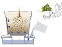 Self-Watering Planters Image 3