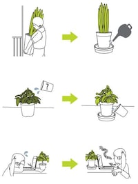 Self-Watering Planters Image 4