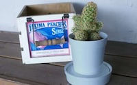 Self-Watering Planters Image 5