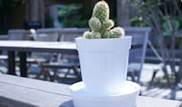 Self-Watering Planters Image 6