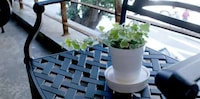 Self-Watering Planters Image 7