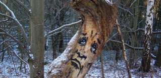 Grimacing Tree Graffiti