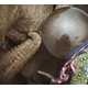 Sorrowful Space Shoots Image 6
