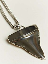 Toothy Designer Accessories Image 2