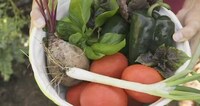 Zero-Waste Grocery Stores Image 7