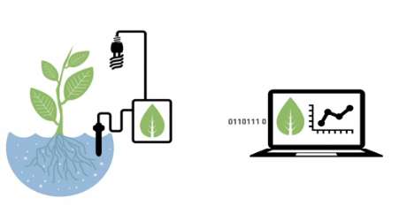 Internet-Supported Gardens