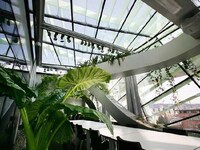 Greenhouse Oasis Offices Image 3