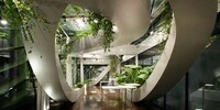Greenhouse Oasis Offices Image 4