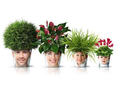 90 Peculiar Planters