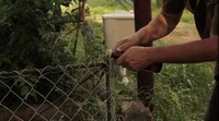 Musical Beer-Popping Videos Image 5