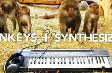 DJing Monkey Marketing