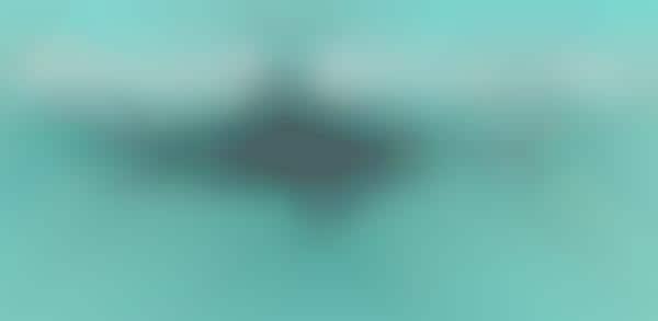 Terrifying Aquatic Creature Graphs