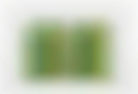 Magnified Turf Partitions