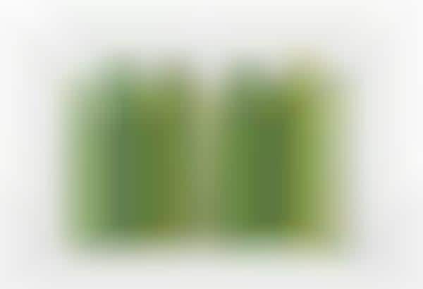 Magnified Turf Partitions