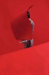 Red Paper Portraits Image 4