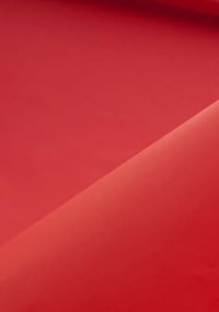 Red Paper Portraits Image 5