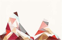 Prismatic Patterned Prints Image 5