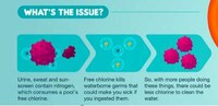 Safe Swimming Graphs Image 5