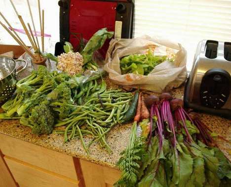 12 Community Gardens