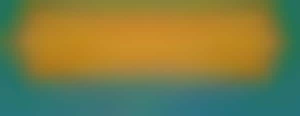 Evolving Virtual Learning Charts