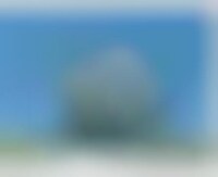 Tourist-Attracting Energy Generators Image 1