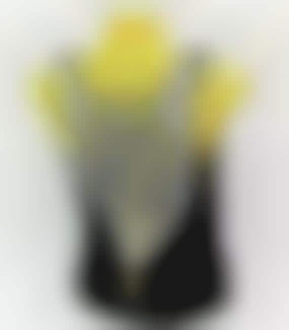 Backless Bone-Baring Attire 