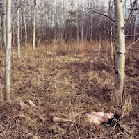Submerged Landscape Portraitures  Image 2