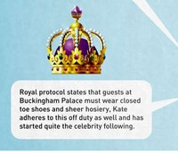 Princess Hosiery Infographics Image 4