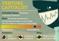 Sea Creature Ventures Image 3